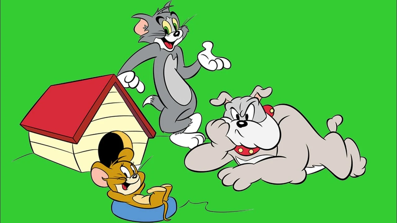 تردد قناة توم وجيري الجديد 24 ساعة افلام كرتون tom and jerry للاطفال